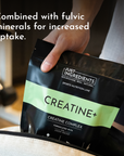 Creatine+