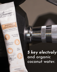 Mango Lemonade Electrolytes Stick