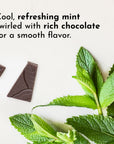 Mint Chocolate Protein Powder Stick