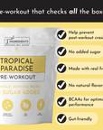 Tropical Paradise Pre-Workout Single Serving Packs (20)