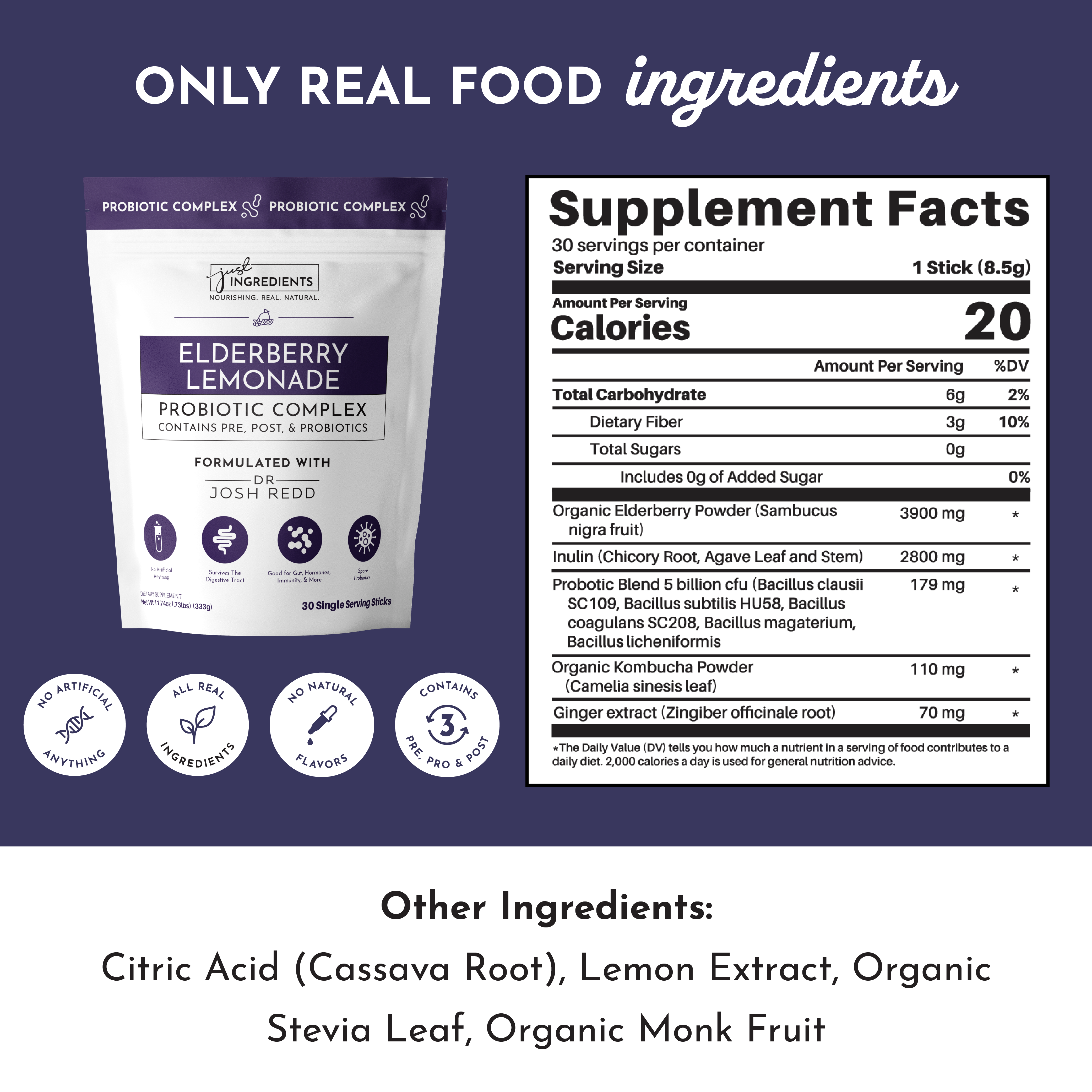 Elderberry Lemonade 3-In-1 Probiotic Complex – Just Ingredients