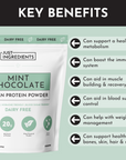 Vegan Mint Chocolate Protein Powder
