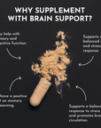 Brain Support
