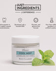 Remineralizing Tooth Powder (Mint)