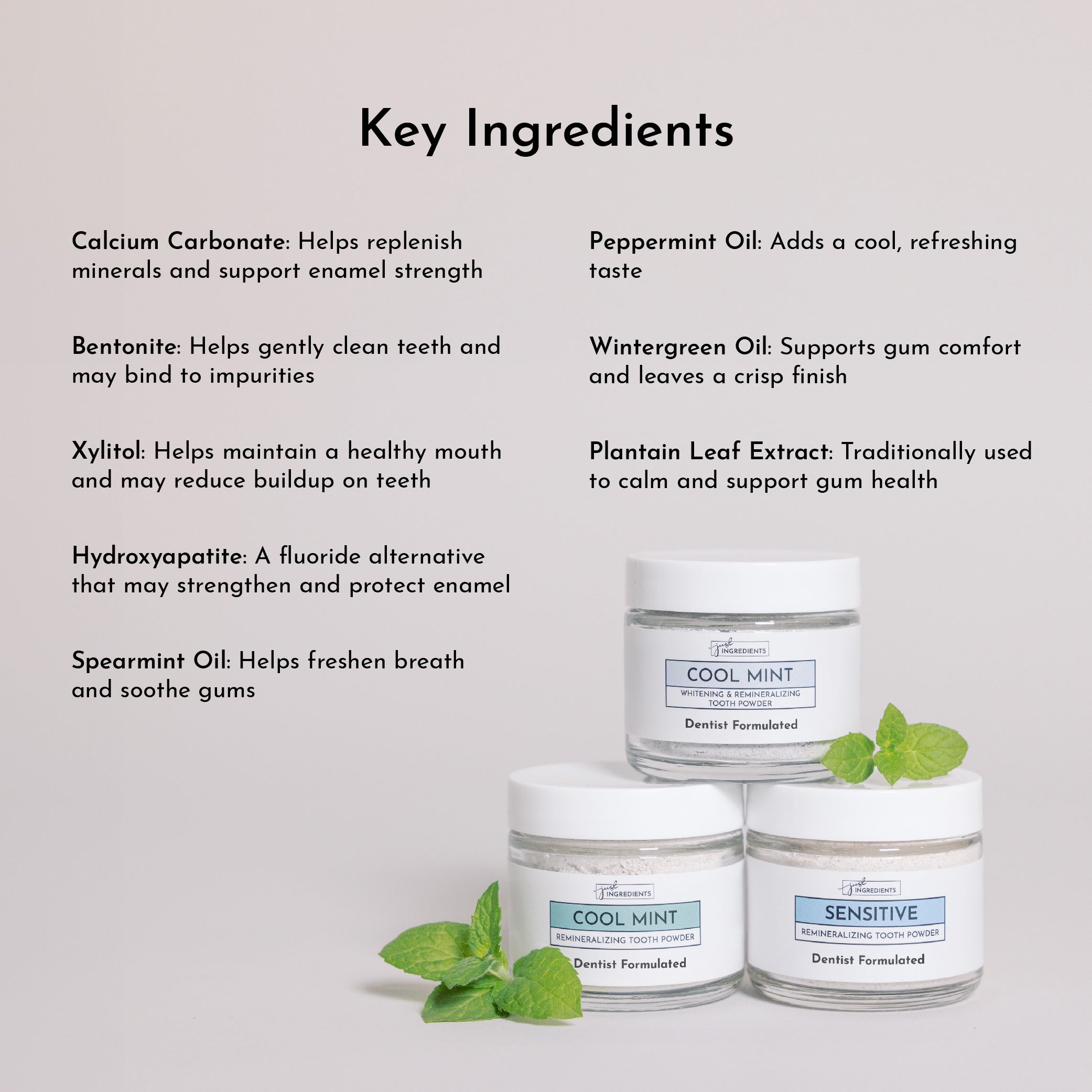 Remineralizing Tooth Powder (Mint) – Just Ingredients