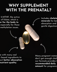Prenatal & Postnatal + DHA