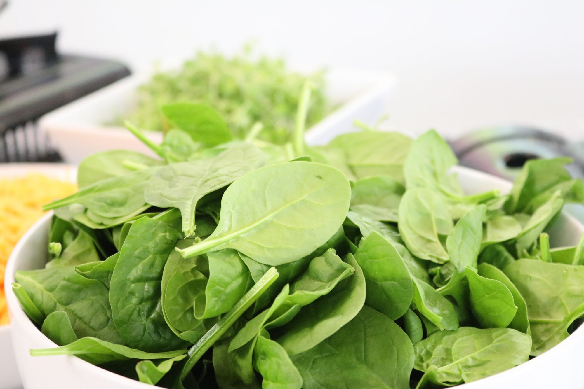 An Easy Weeknight Spinach Lasagna Recipe