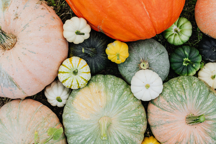 25+ Fruits and Vegetables To Buy This Fall
