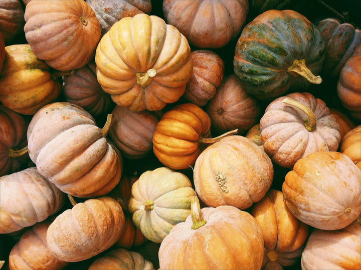 3 Health Benefits of Pumpkin and 5 New Ways to Use Pumpkin in Your Cooking