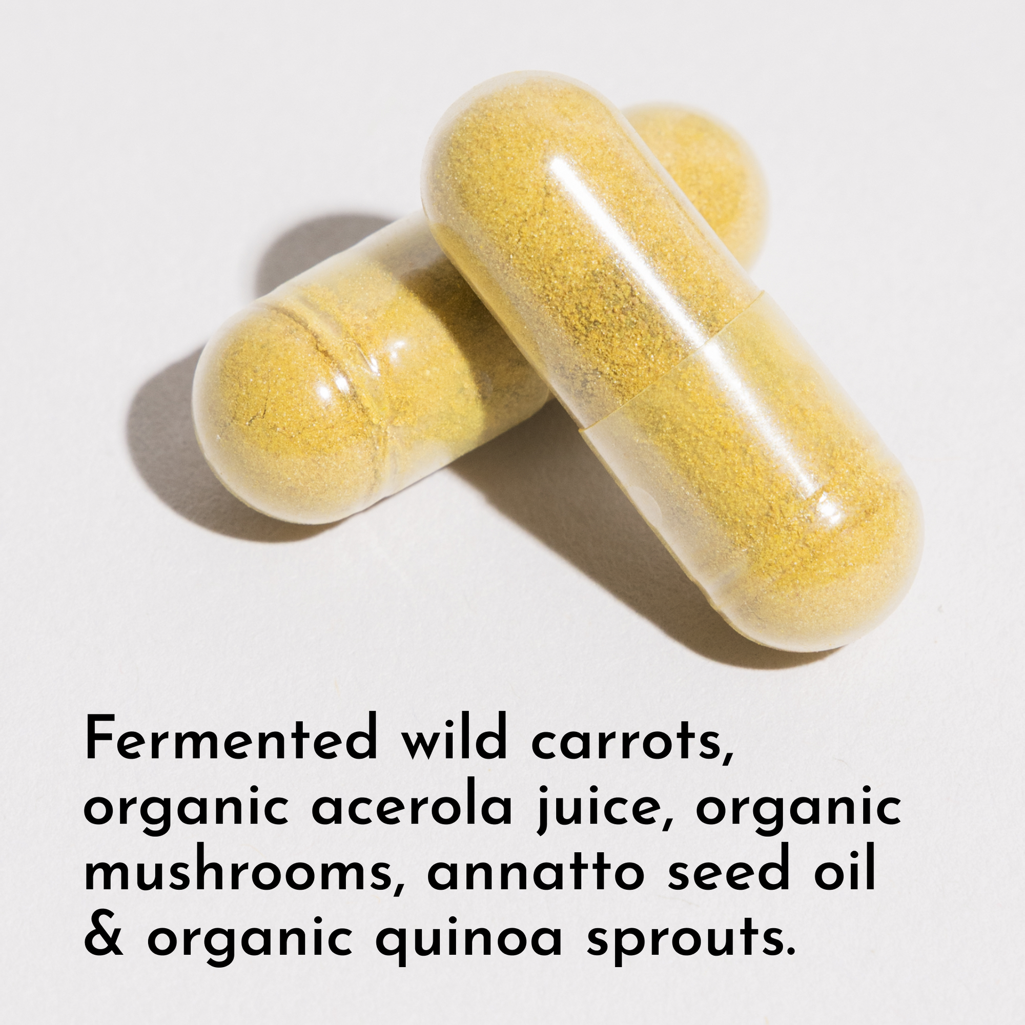 Multivitamin Supplement