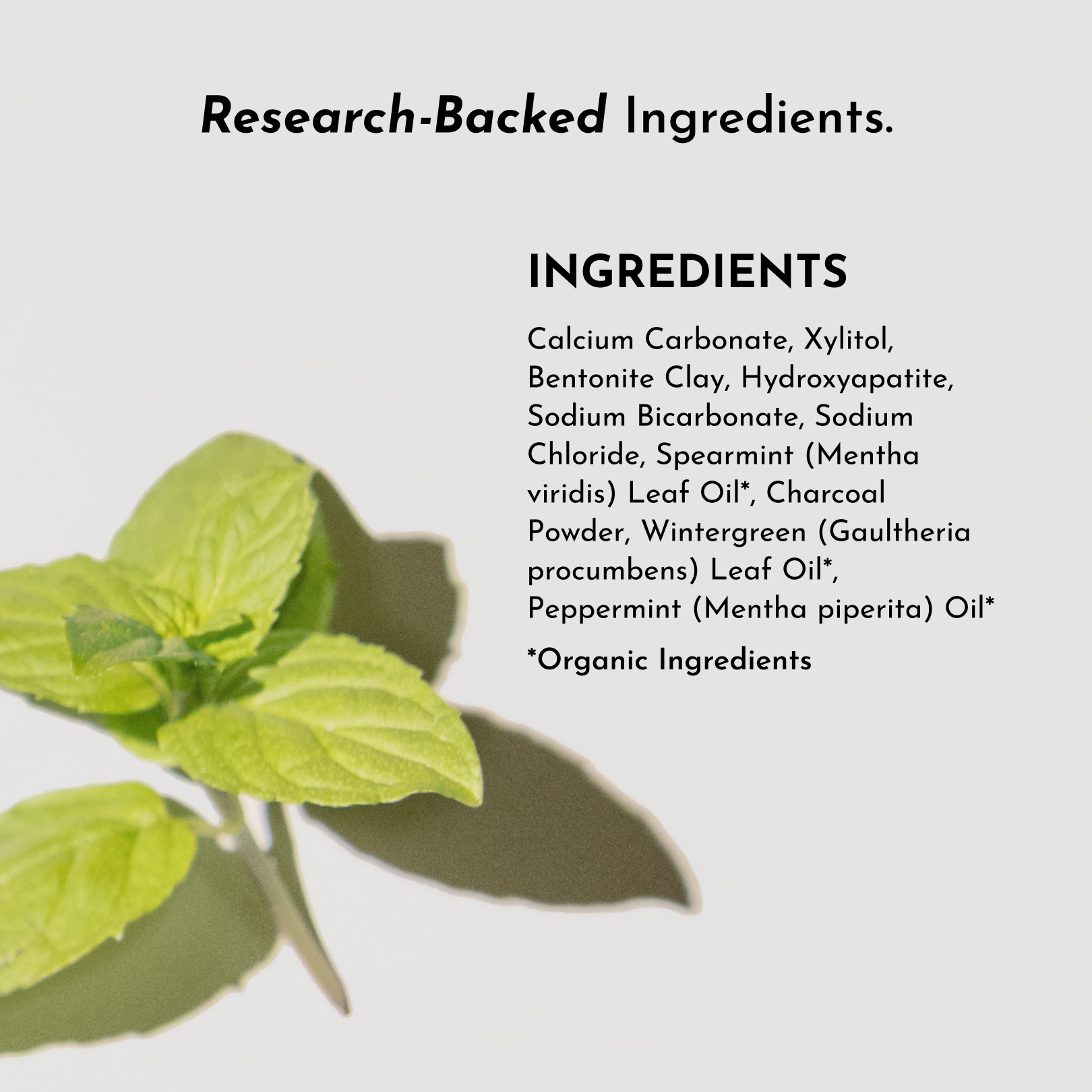 Whitening Remineralizing Tooth Powder (Mint)