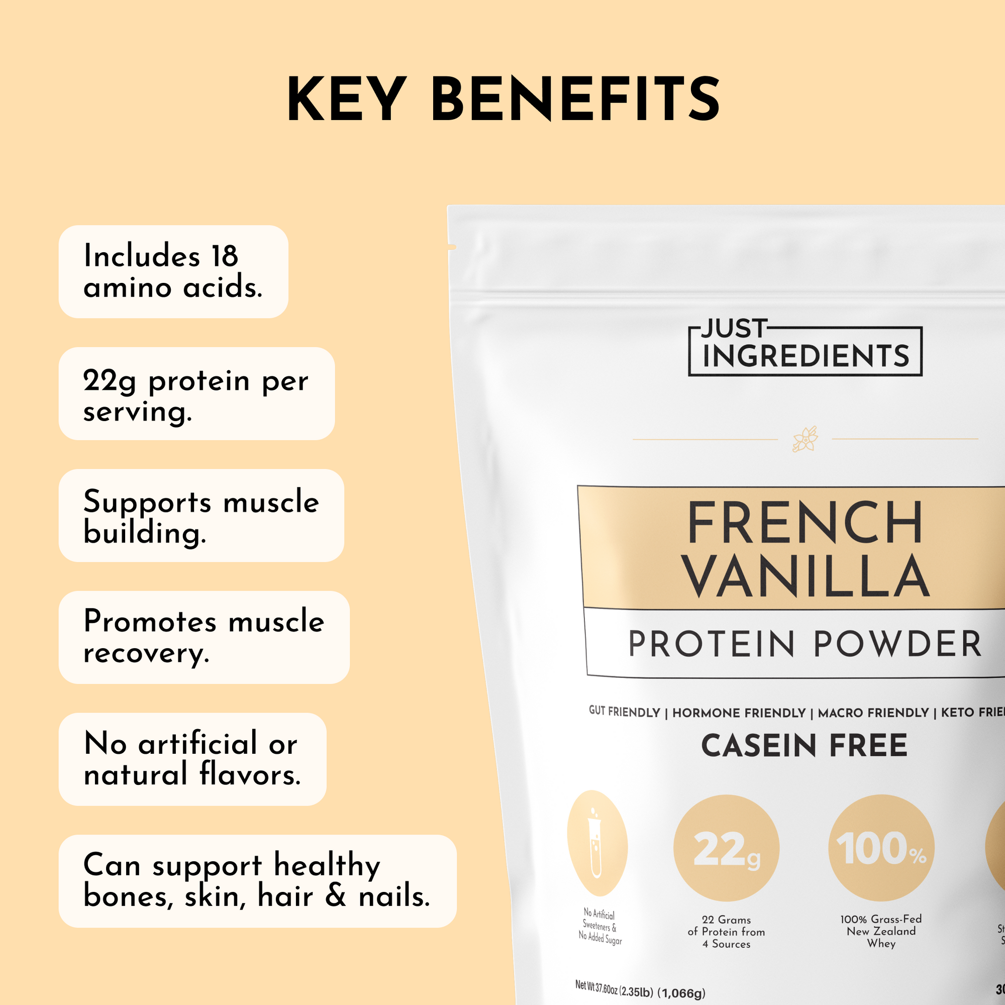 French Vanilla Protein Powder