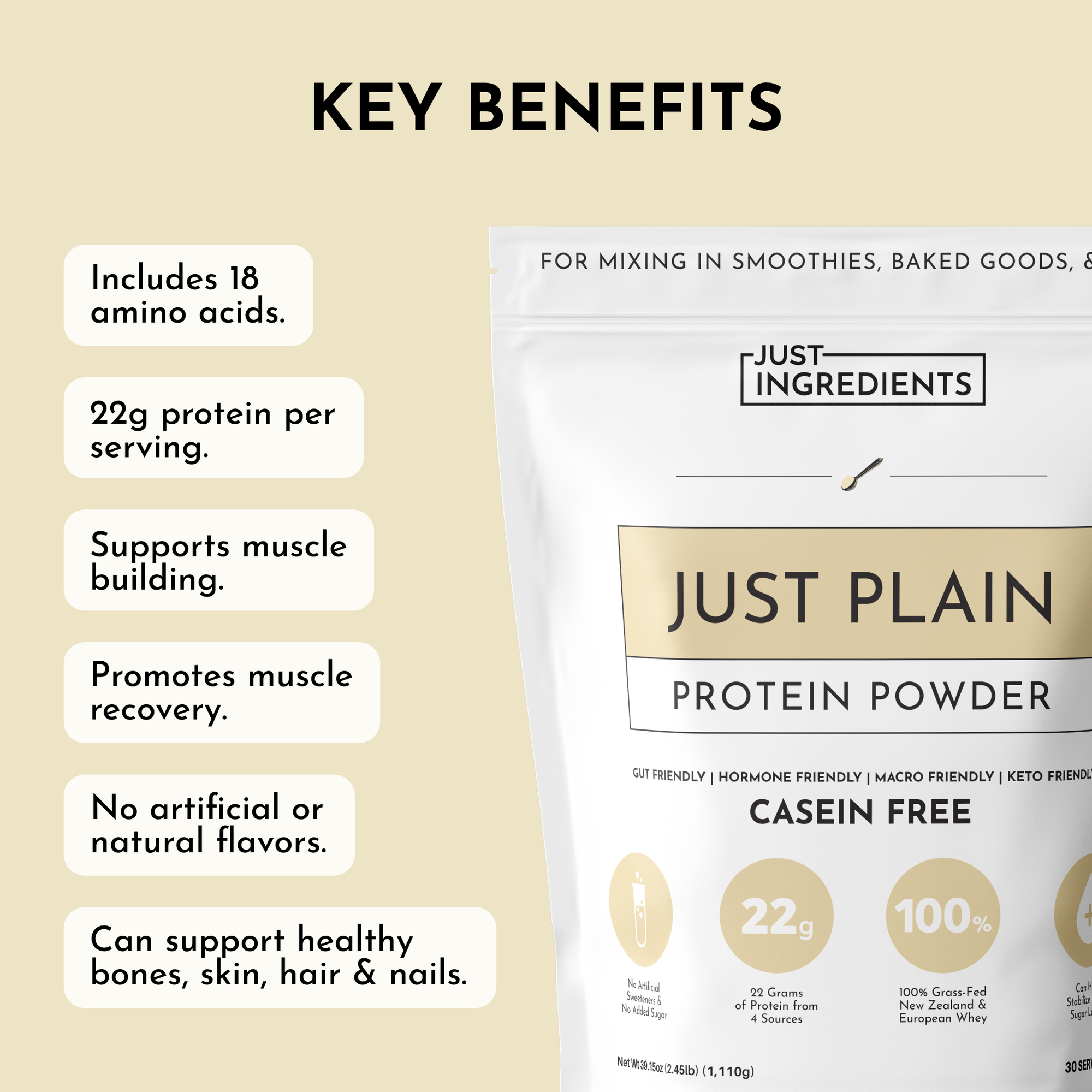 Just Plain Protein Powder
