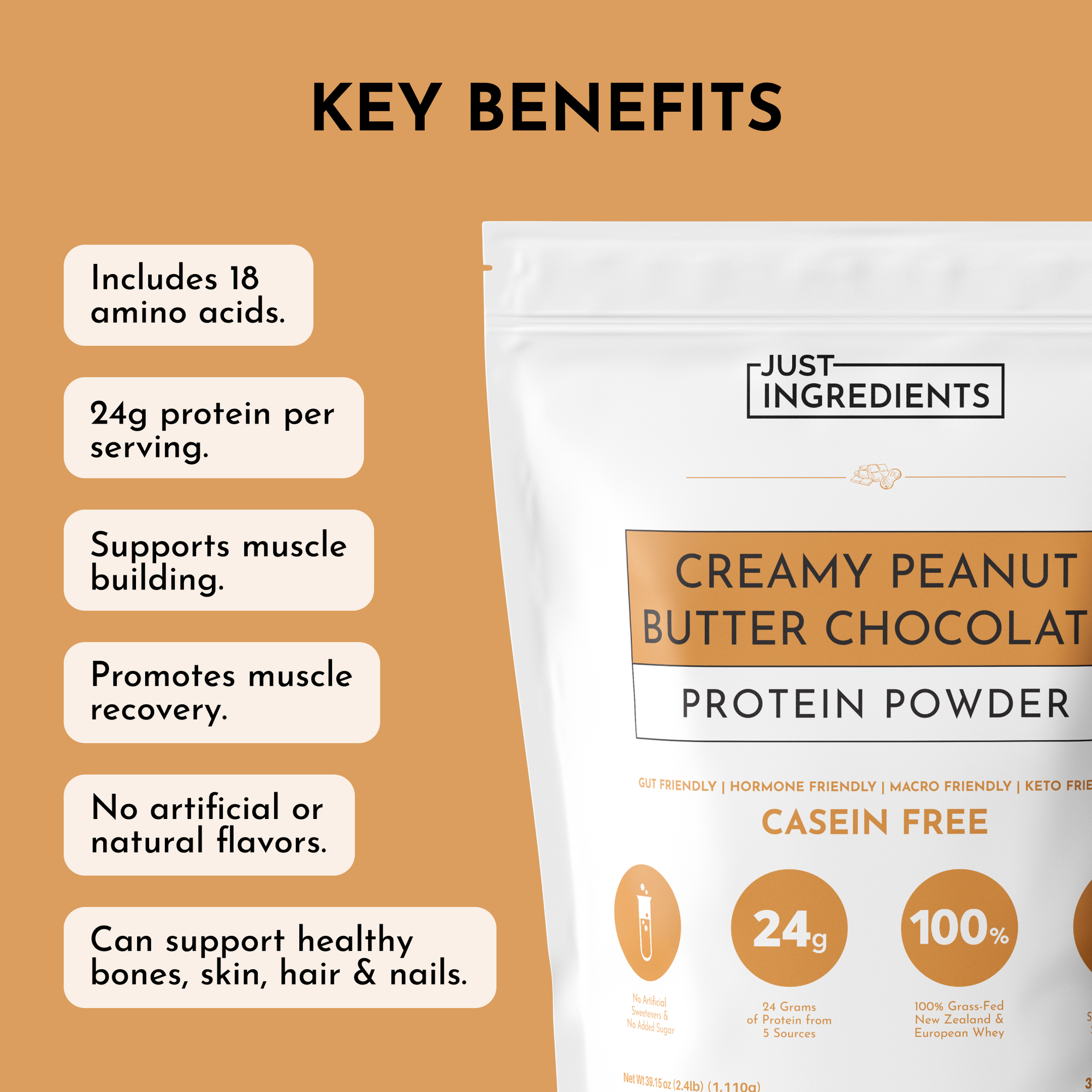 Creamy Peanut Butter Chocolate Protein Powder