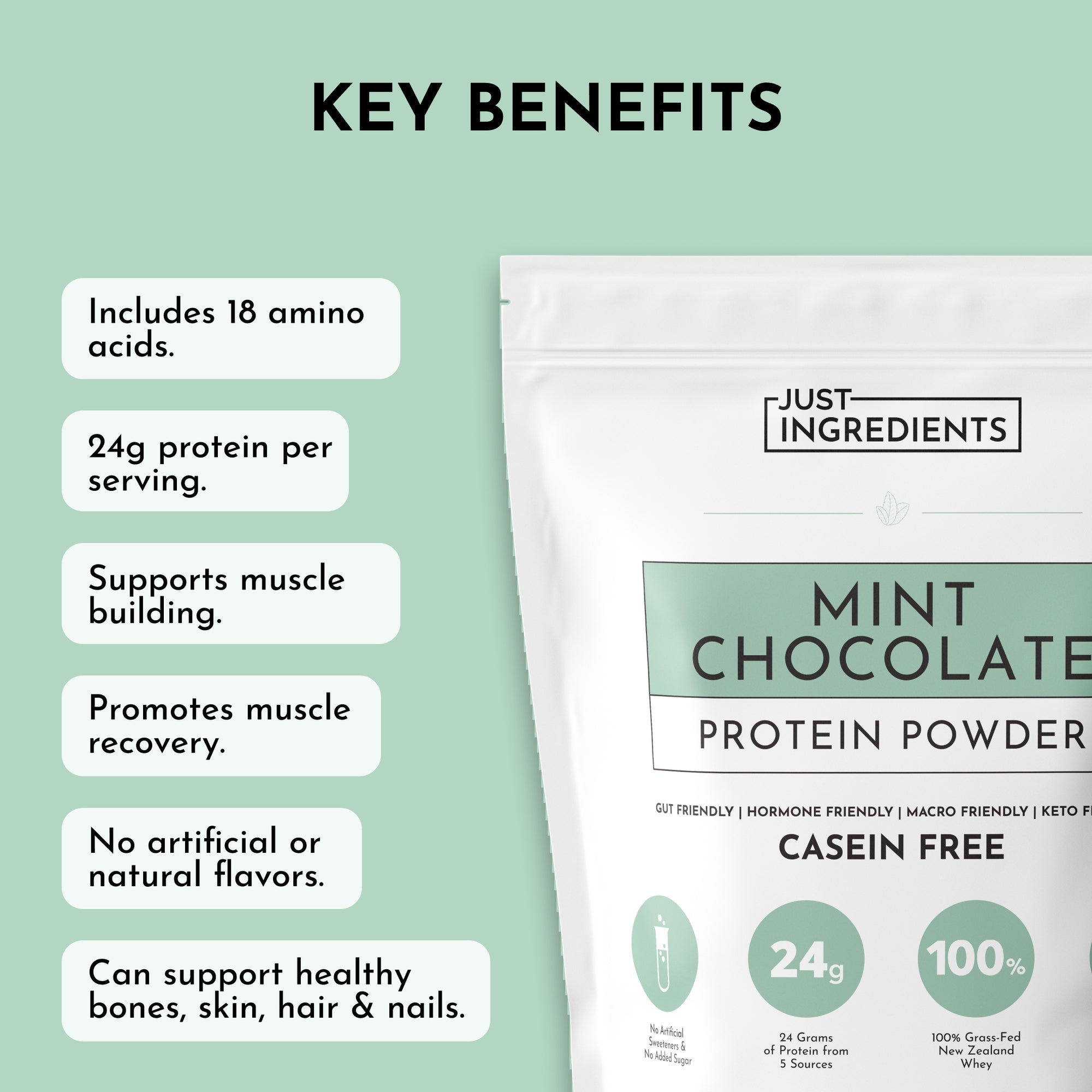 Mint Chocolate Protein Powder