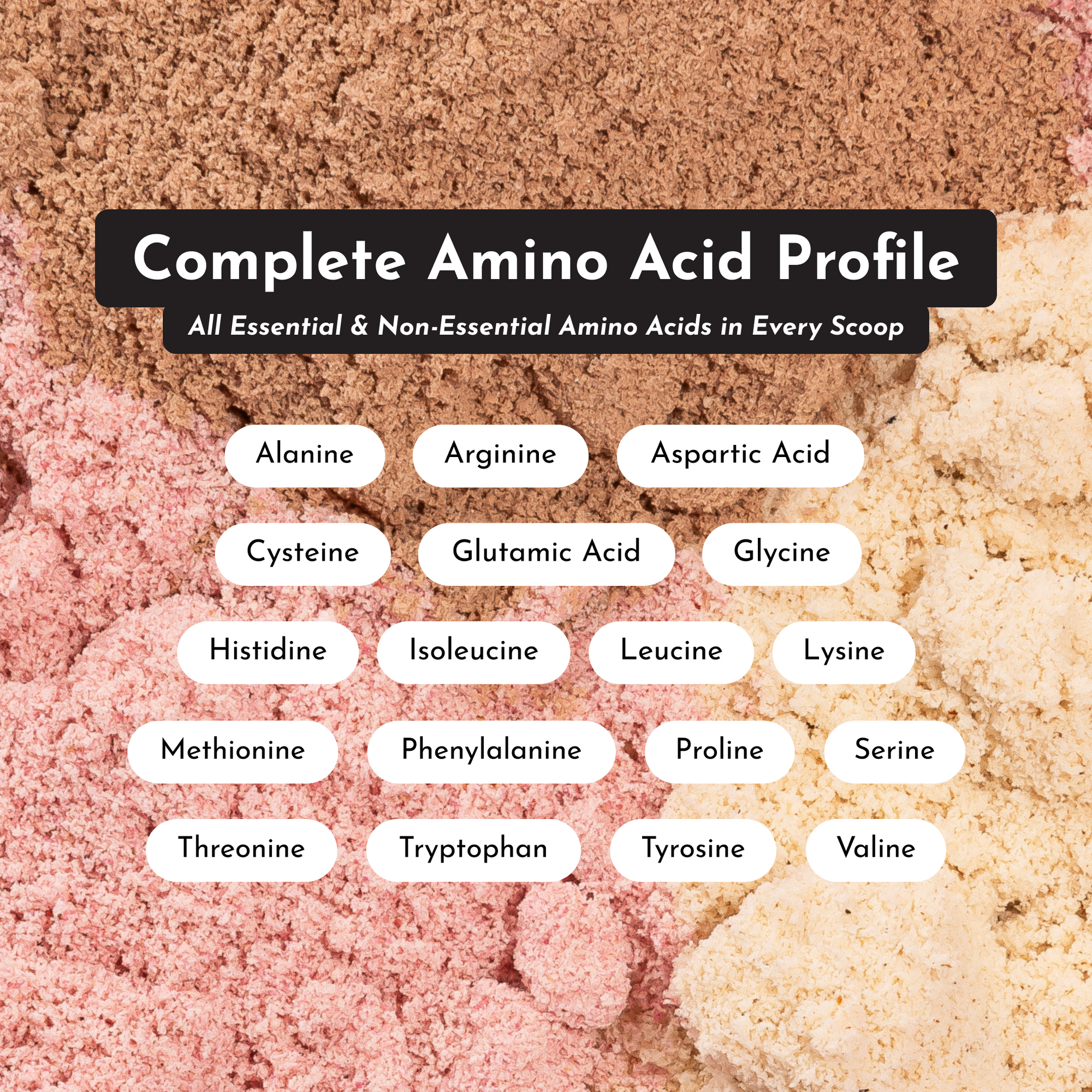 Snickerdoodle Protein Powder Stick