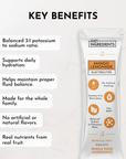 Mango Lemonade Electrolytes Stick