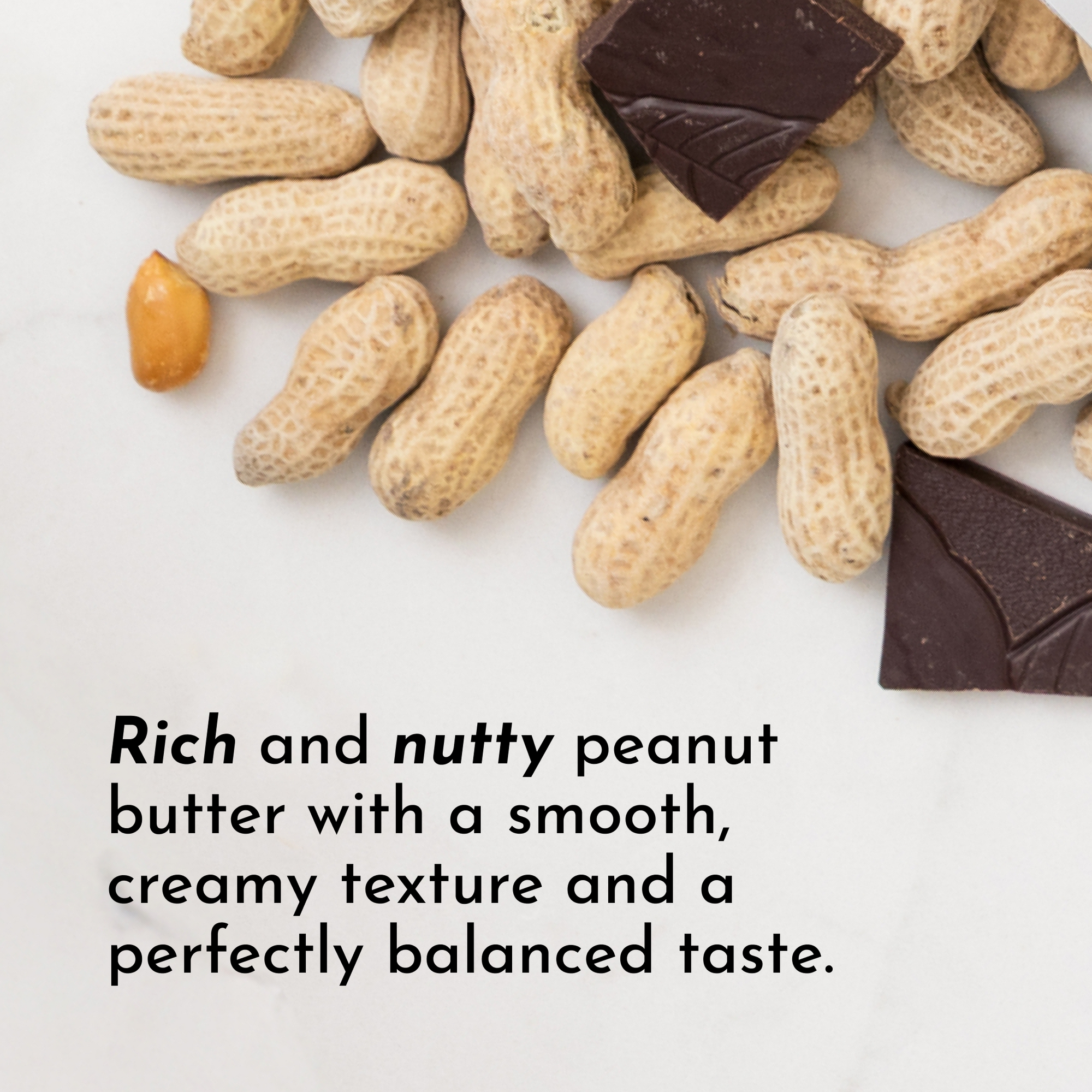 Vegan Peanut Butter Chocolate Protein Powder