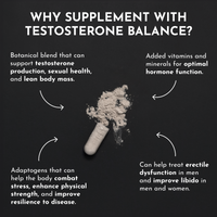 Testosterone Balance