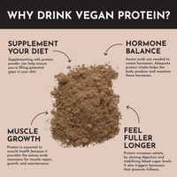 Vegan Chocolate Protein Powder