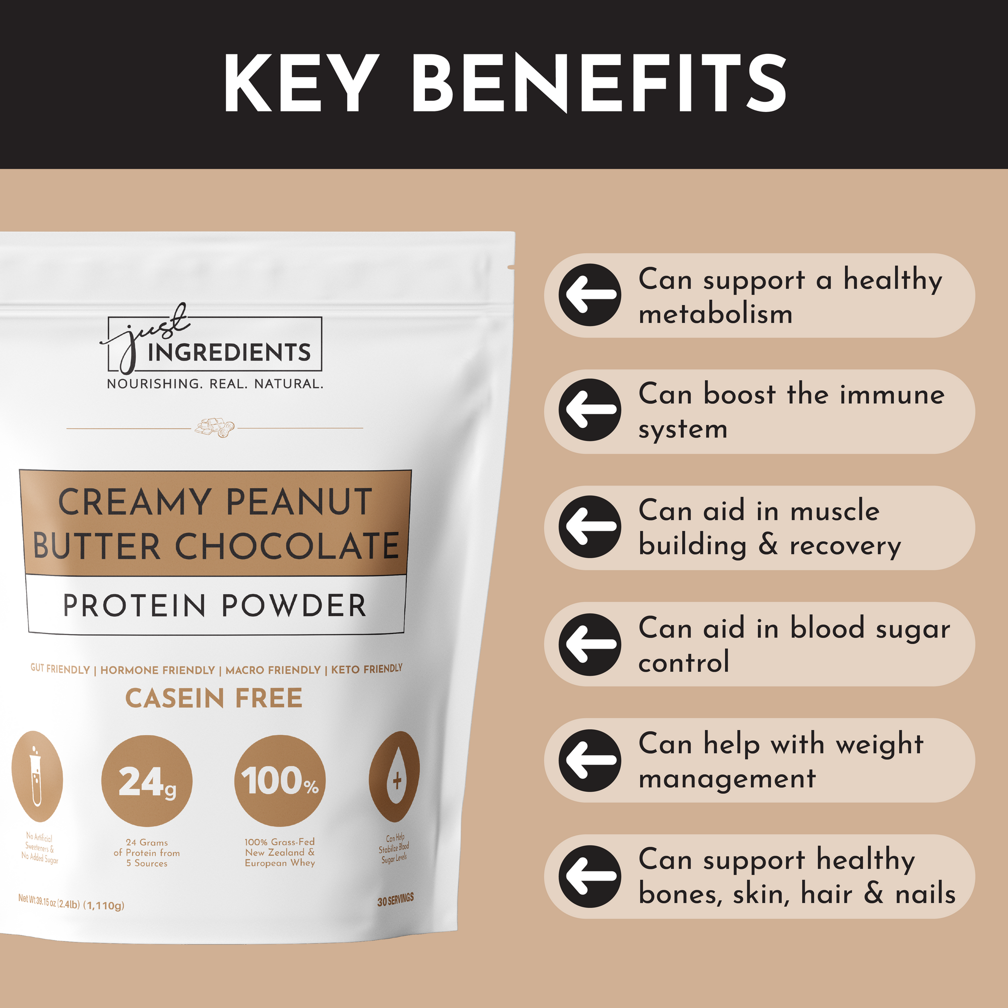 Creamy Peanut Butter Chocolate Protein Powder