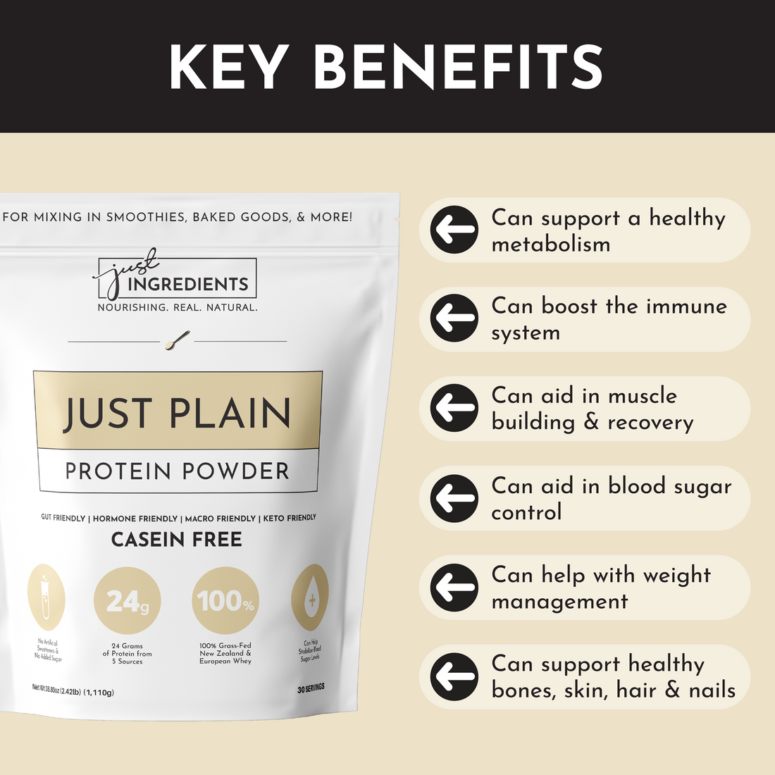 Just Plain Protein Powder