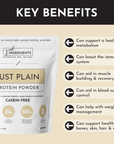 Just Plain Protein Powder