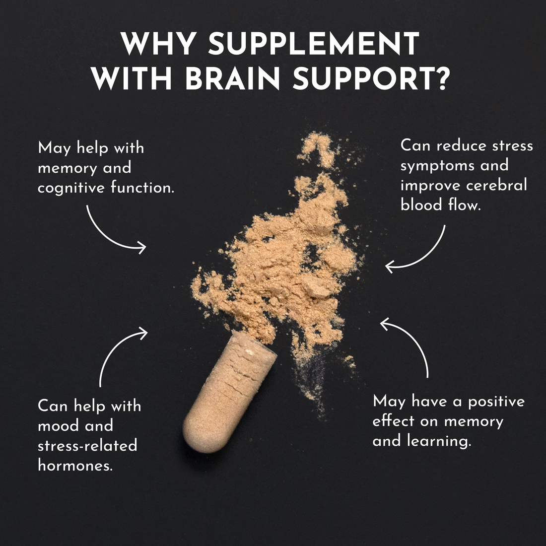 Brain Support