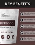 Superfood Hot Chocolate