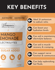 Mango Lemonade Electrolytes