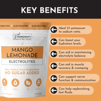 Mango Lemonade Electrolytes