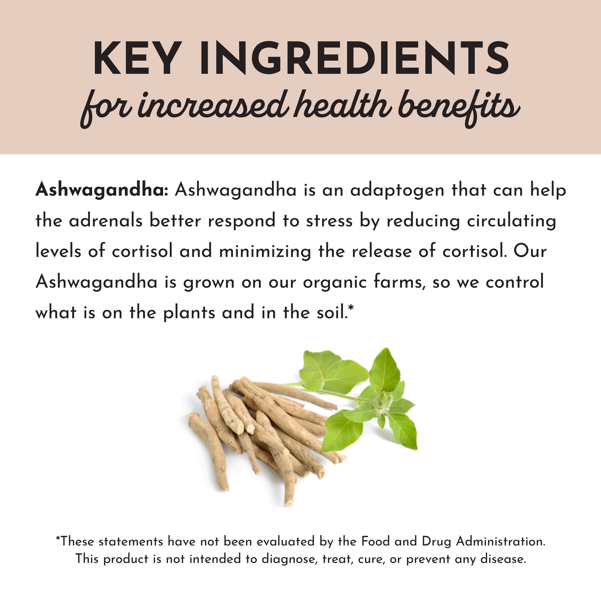 Ashwagandha Capsule