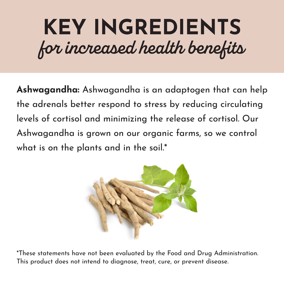 Ashwagandha Capsule