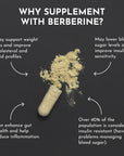 Berberine Supplement