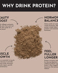 Coconut Chocolate Protein Powder