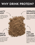 Chocolate Protein Powder