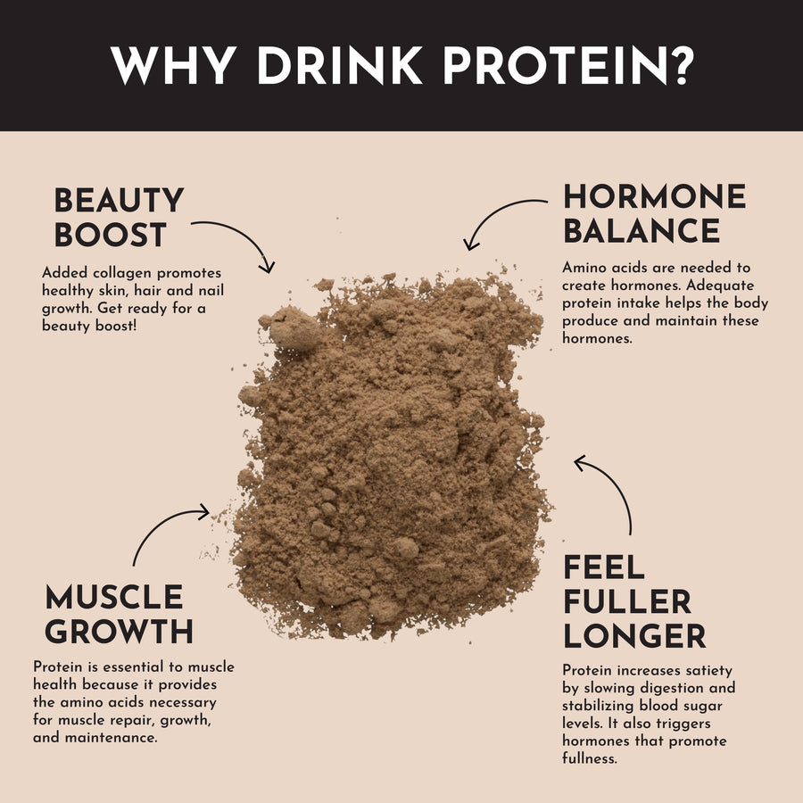 Creamy Peanut Butter Chocolate Protein Powder