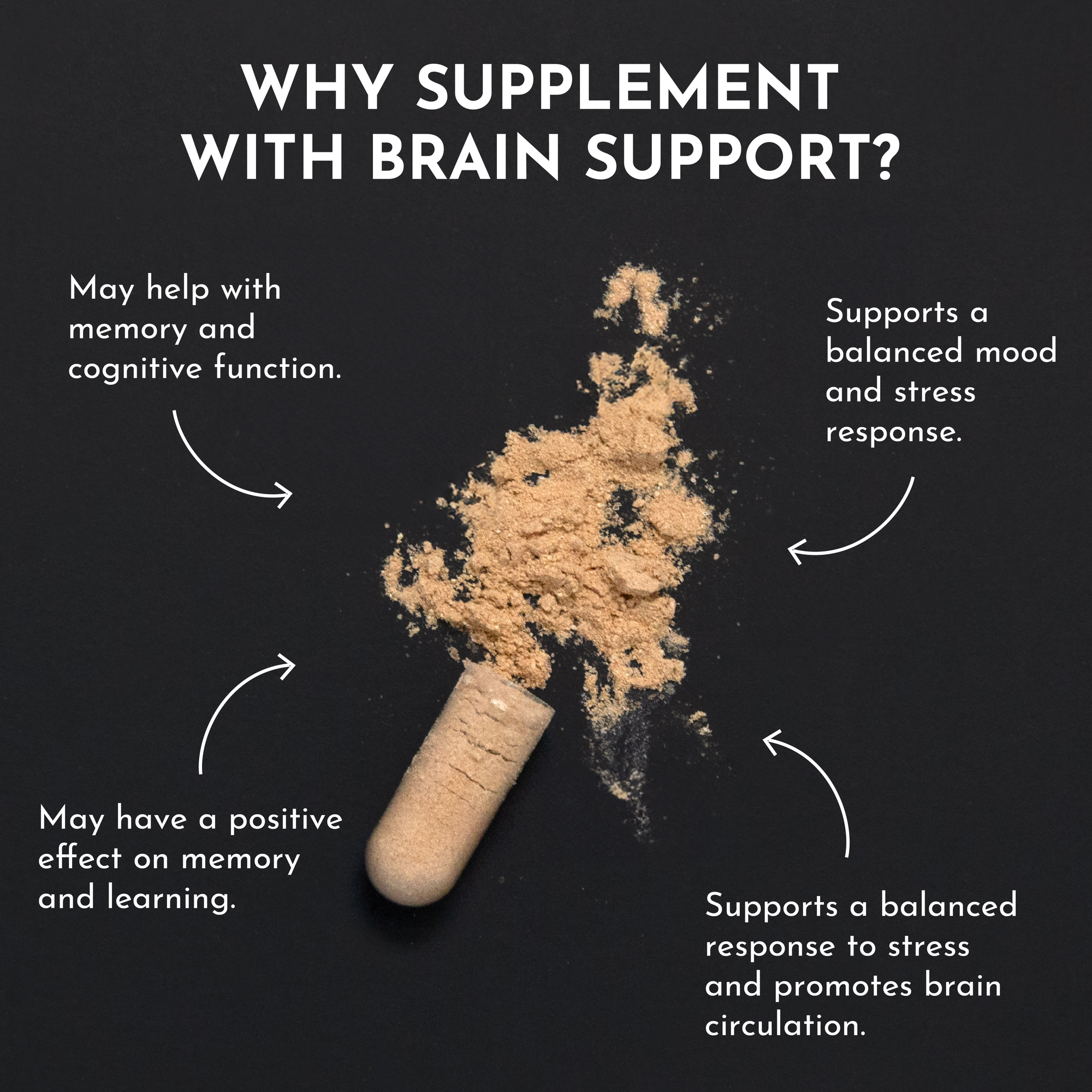 Brain Support