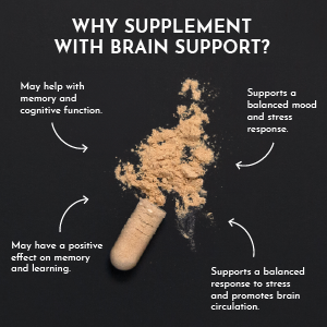 Brain Support