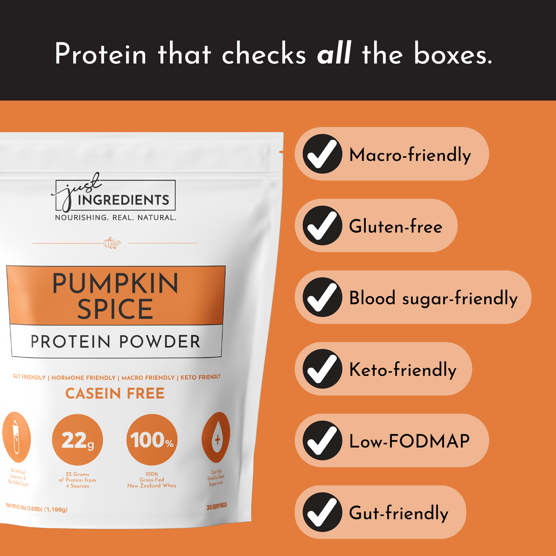 Seasonal Pumpkin Spice Protein Powder