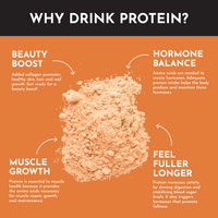 Seasonal Pumpkin Spice Protein Powder