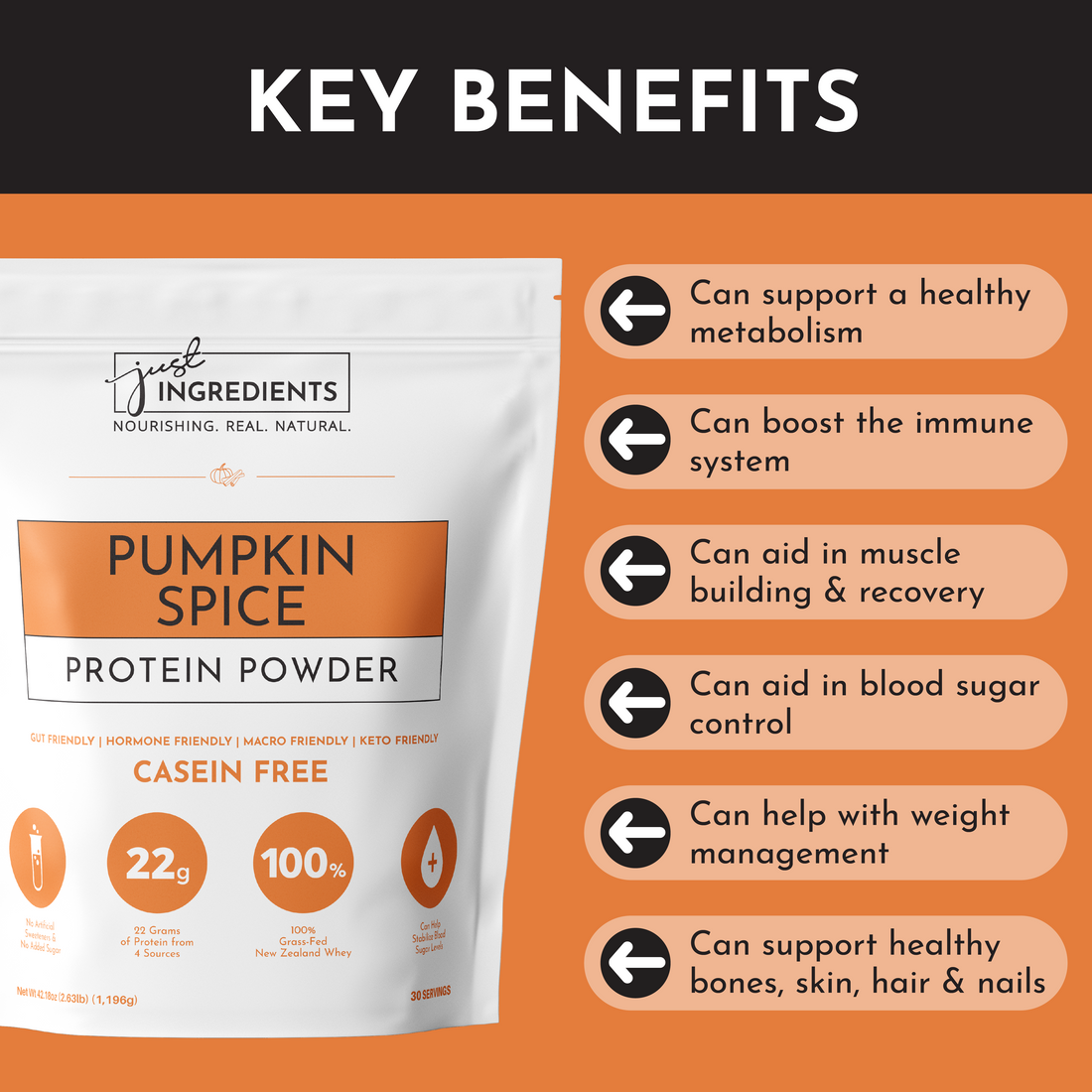 Seasonal Pumpkin Spice Protein Powder