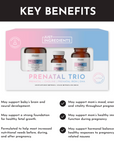 Prenatal & Postnatal + DHA + Iron (Gift Box)