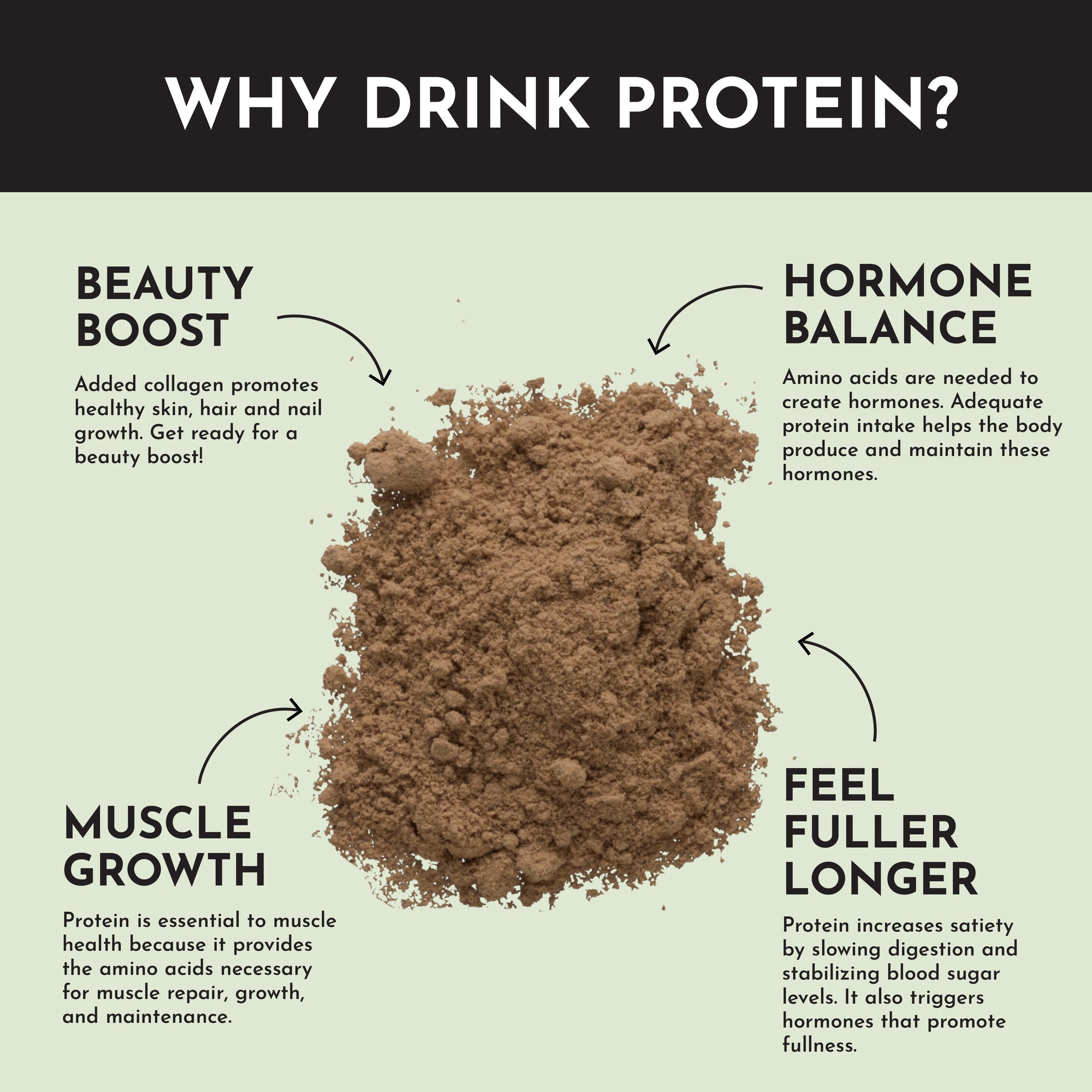 Mint Chocolate Protein Powder