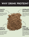 Mint Chocolate Protein Powder