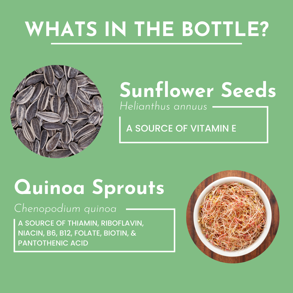 Multivitamin Supplement Just Ingredients