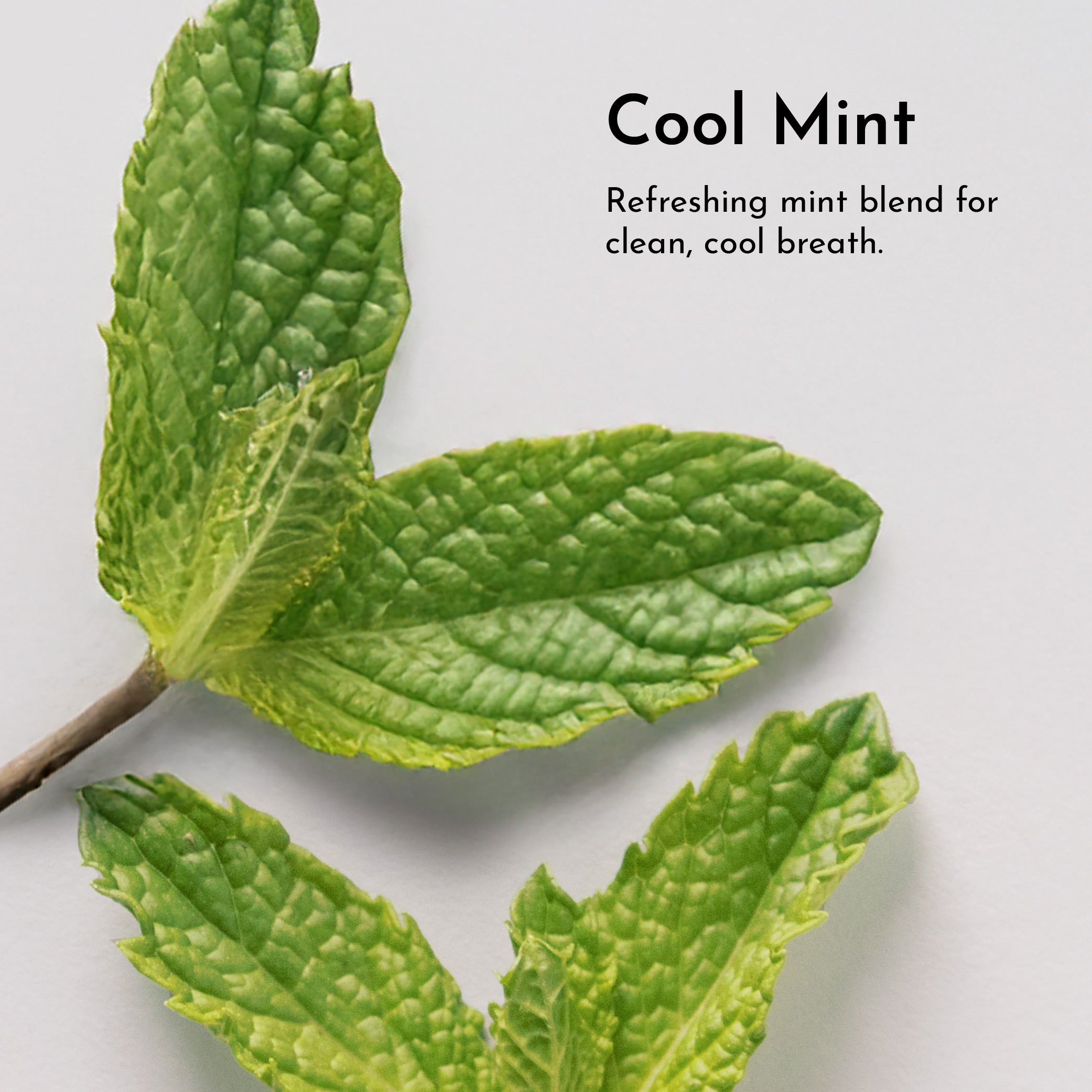 Sensitive Tooth Powder – Just Ingredients