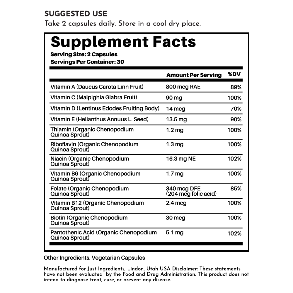 Multivitamin Supplement Just Ingredients
