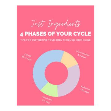 4 Phases of the Menstrual Cycle Guide
