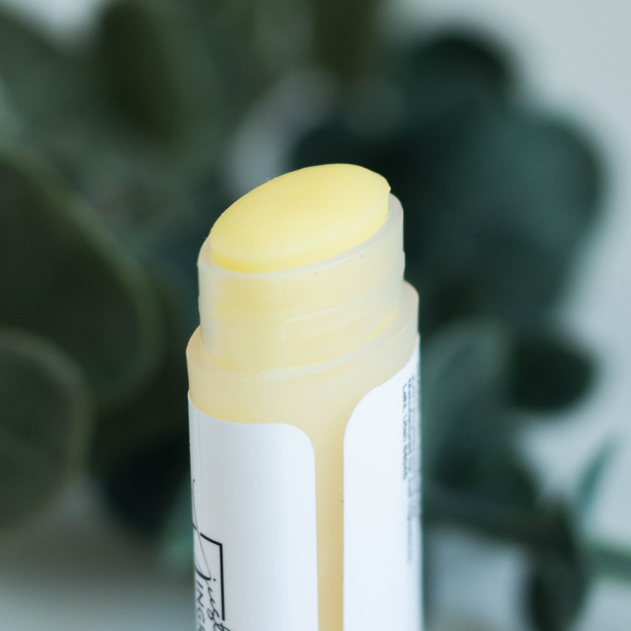 Coconut Vanilla Organic Lip Balm